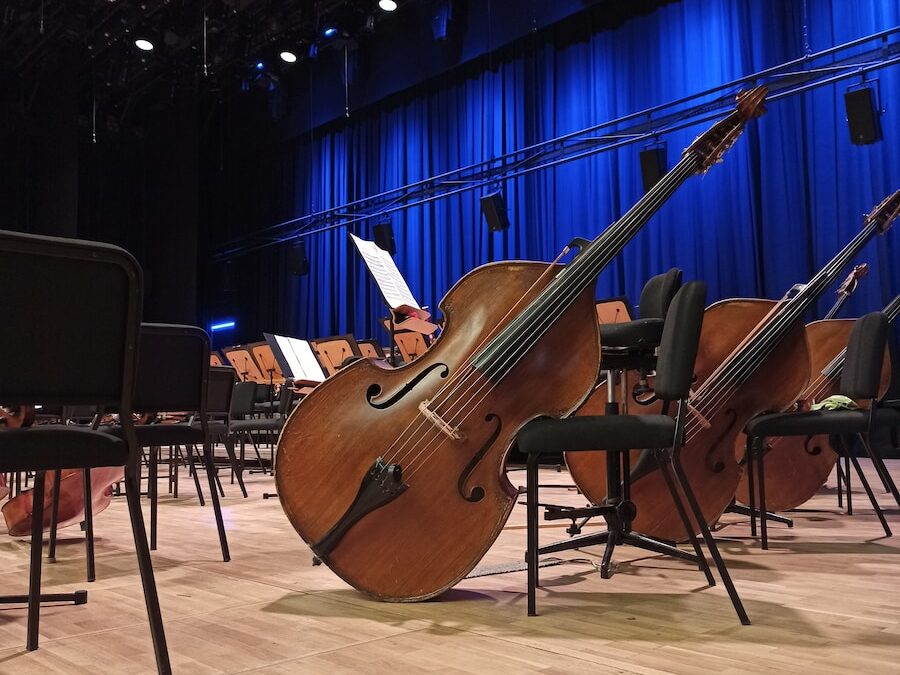 Penjelasan upright bass