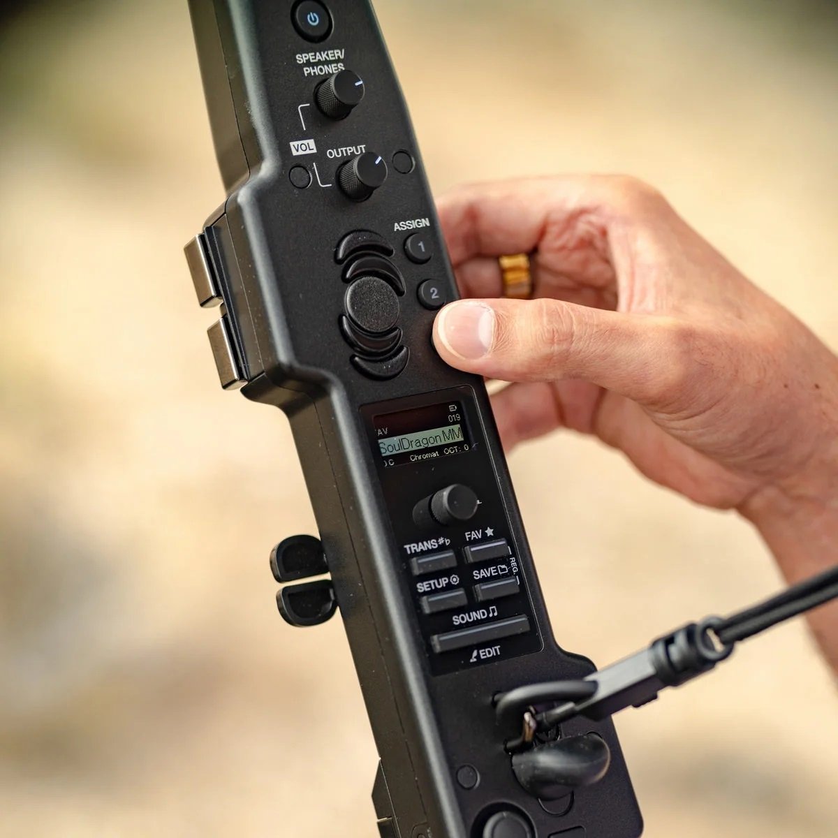 ASM Diosynth - Image 3