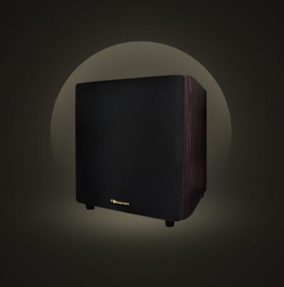 Nakamichi ESW-1000