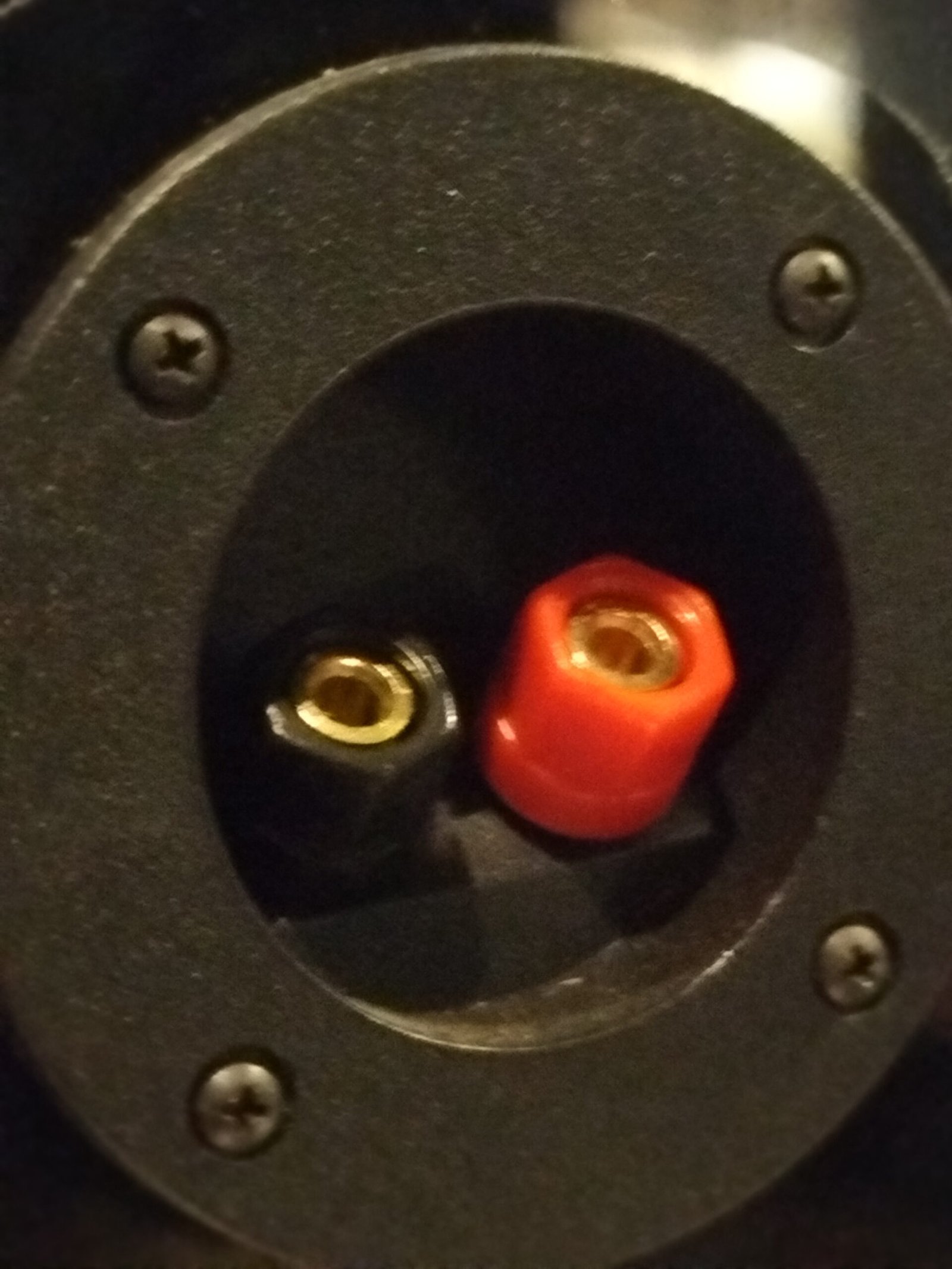 REV (Rock Extended Version) - Full Tube Home Audio Class A - Image 7