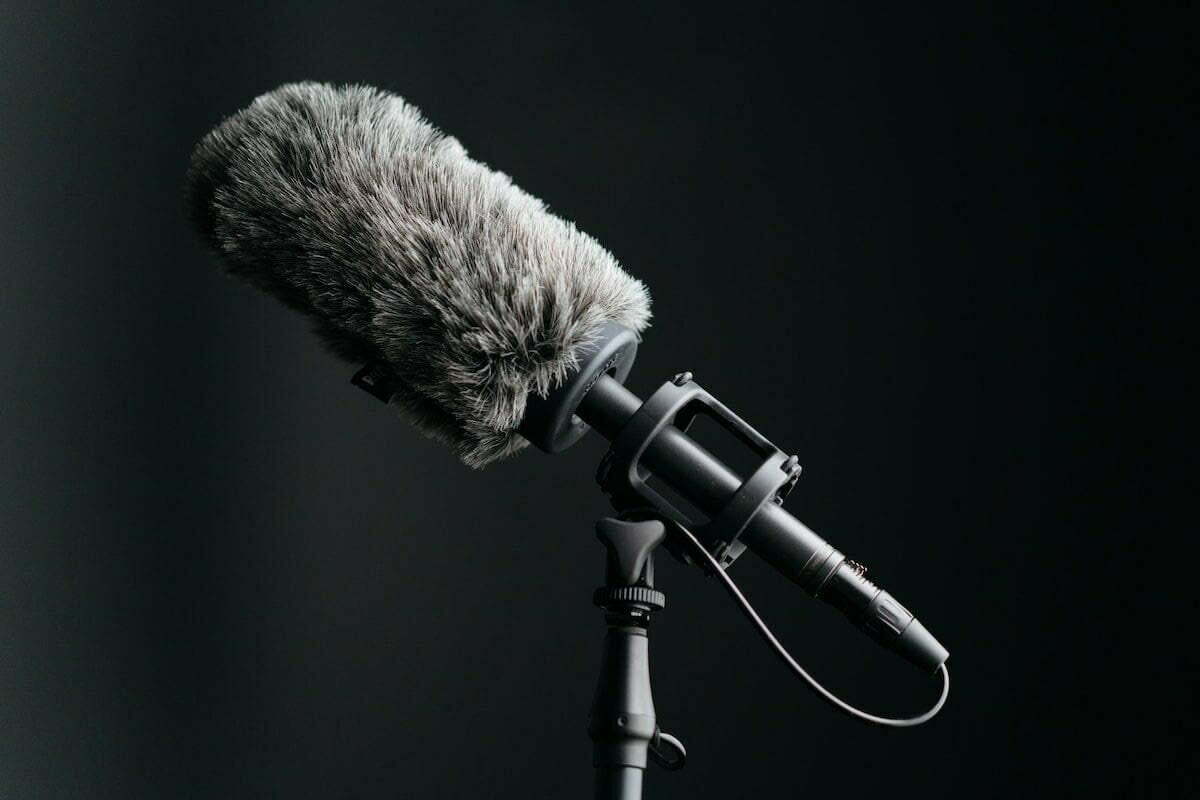 gray microphone