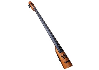 NS Design CR & CR-M Double Bass