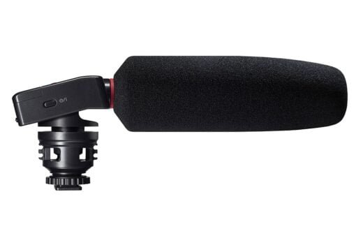 Tascam DR-10SG
