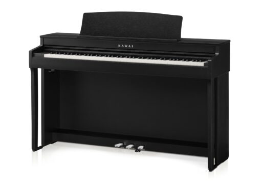 Kawai CN301
