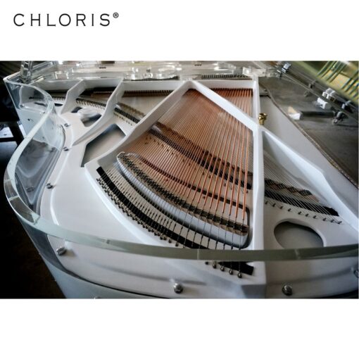 Chloris Custom Transparent Grand Piano HG-186A - Image 4