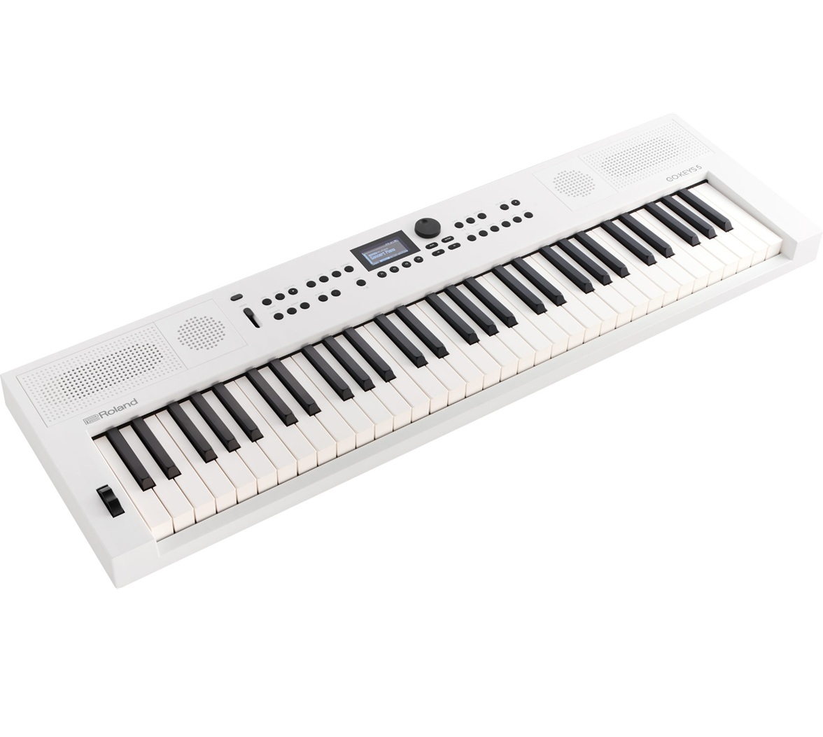 Roland Go:Keys & Go:Piano - Image 7